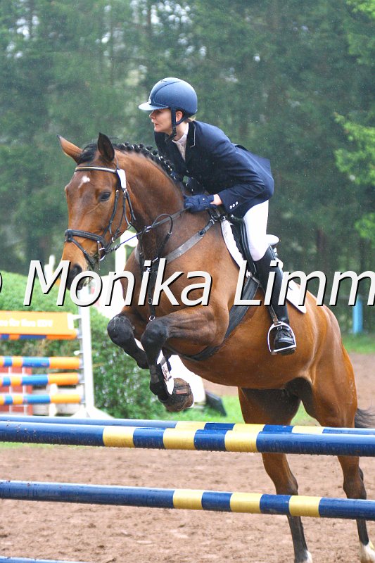 005L4690_Letizia II_Springpferde A xx_e.jpg